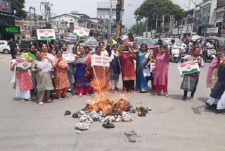 congress protest