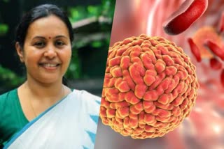 Health Minister kerala  Zika virus  kerala  വീണ ജോര്‍ജ്  veena george  ആരോഗ്യ വകുപ്പ് മന്ത്രി  പിണറായി സര്‍ക്കാര്‍  pinarayi government  തിരുവനന്തപുരം വാര്‍ത്ത  Thiruvananthapuram news