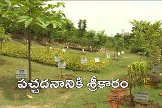 greenery in warangal, green legacy