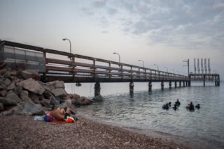 Eilat corals