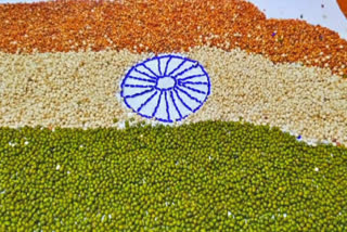 art of national flag by grains  national flag  75th independence day  independence day  world record  record  mayiladuthurai news  mayiladuthurai latest news