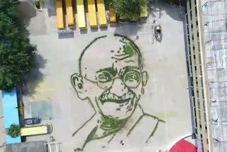 Mahatma Gandhi's picture made from 20 thousand plants