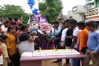 farmer-who-shot-a-special-photo-shoot-for-bull-birthday