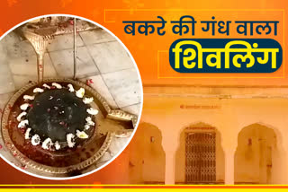 Ajmer Ajgandheshwar Shiva Temple, अजमेर का अजगंधेश्वर शिवालय