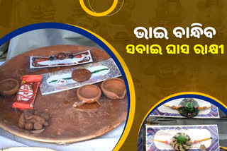 ଆସୁଛି ରାକ୍ଷୀ ପୂର୍ଣ୍ଣିମା; ଗ୍ରାହକଙ୍କ ମନ କିଣୁଛି ଟେରାକୋଟା ରାକ୍ଷୀ