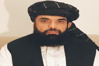 Taliban spokesman Sohail Shaheen
