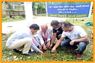 Plantation grograme in tinsukia