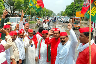 समाजवादियों ने किया अनोखा प्रदर्शन, सड़क पर रोपा धान