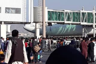 8 people dead in Kabul airport amid chaos