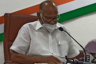 ncp president sharad pawar