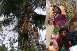 fireforce rescued worker trapped on coconut tree in alappuzha  kerala fireforce  അഗ്നിശമന സേന  ചേർത്തല തൈക്കാട്ട്ശേരി മണപ്പുറത്ത്  Cherthala Thykkattsery Manappuram  coconut tree  coconut tree in alappuzha