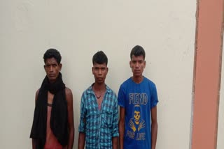 दंतेवाड़ा के कुआकोंडा में डीआरजी ने 3 नक्सलियों को किया गिरफ्तार
