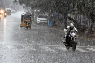 rain-update-in-chhattisgarh-today-17-august