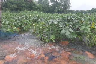 Rain in Muzaffarpur