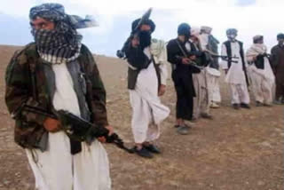 Taliban announces general amnesty for govt officials