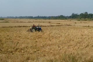 due-to-less-rain-demand-to-declare-bastar-as-drought