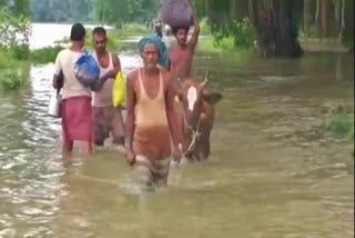 FLOOD IN MANER