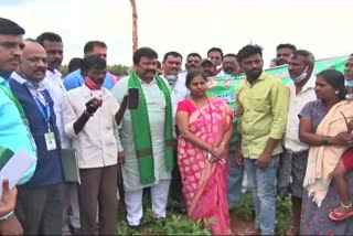 agricluture-minister-bc-patil-crop-survey-in-chitradurga