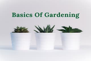 मिट्टी का चयन, gardening, बागवानी, home garden, kitchen garden, plants, lifestyle
