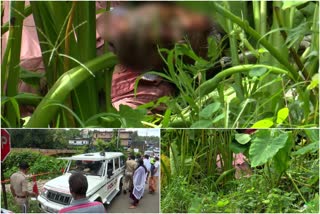 Elderly man found dead in Thodupuzha  തൊടുപുഴയിൽ വയോധികനെ മരിച്ച നിലയിൽ കണ്ടെത്തി  തൊടുപുഴ നഗരമധ്യത്തിൽ ശവം  old man found dead in Thodupuzha