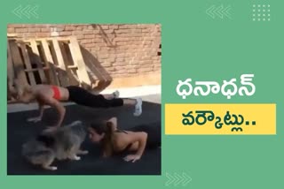 a pet dog working out with two girls