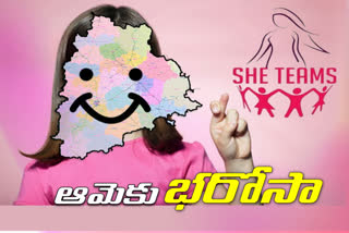 SHE TEAMS actions in telangana, she teams on hooligans and brats