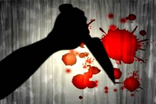 कोटा में महिला की हत्या, Woman murdered in Kota