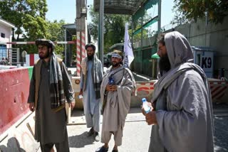 No Democratic System At All," Say Taliban. Council May Rule Afghanistan