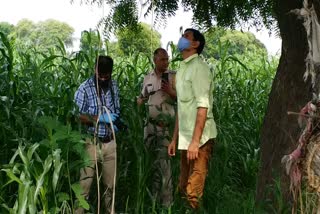 lady found hanging on neem tree