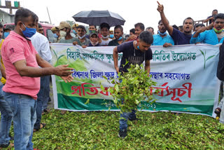 small-tea-growers-protest-in-biswanath