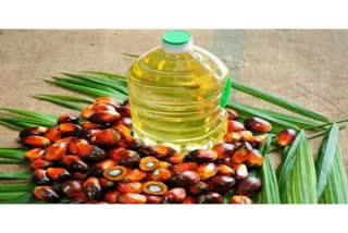 reduce dependence on edible oil imports