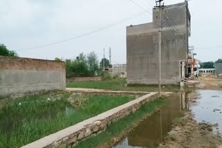 Water filled in Kota colonies, Kota news