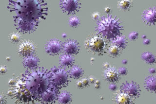 delhi coronavirus update 25 news covid 19 cases found in last 24 hours