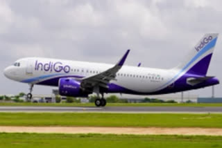 Indigo