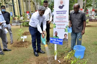 plantation in ccl under tree plantation campaign in ranchi