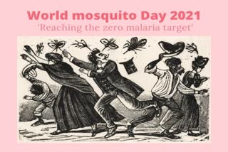 mosquito, World Mosquito Day 2021, mosquito prevention, importance of mosquito, mosquito day, chikungunya, dengue, zika, malaria