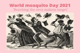 world mosquito day 2021