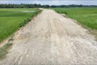 scam-in-road-construction-of-bilashipara