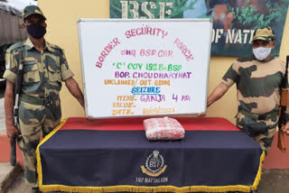 BSF seized on hemp on india bangladesh border