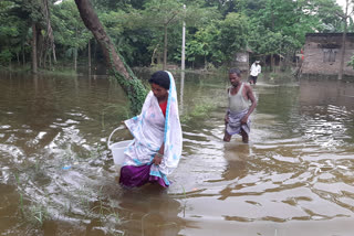 मुजफ्फरपुर के मीनापुर में घुसा बाढ़ का पानी