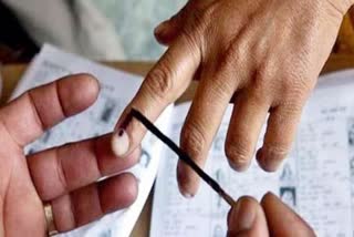 haryana Municipal elections