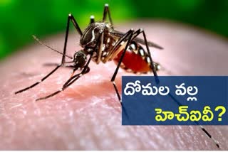 mosquitoes, HIV