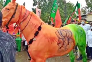 Horse painted in BJP's flag