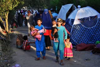 UAE to temporarily shelter 5,000 Afghan refugees