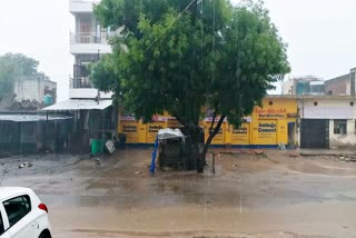 heavy rain in dholpur, Dholpur Weather Update