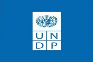 UNDP alarmed over 'current trajectory' of Afghan conflict