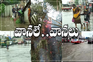 AP RAINS, AP WEATHER UPDATE