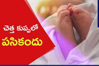 చెత్తకుప్పలో పసికందు మృతదేహం లభ్యం