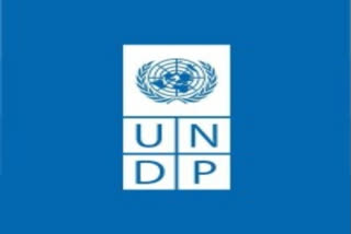 UNDP