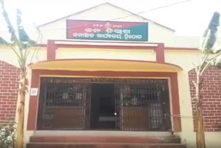 ମହିଳାଙ୍କୁ ଶୁଣ୍ଢରେ କଚାଡି ମାରିଲା ହାତୀ